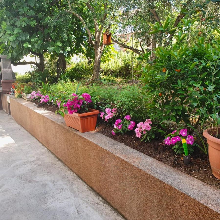Apartma Lana21 Apartment Копер Екстериор снимка